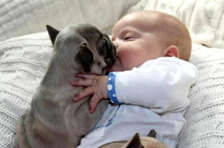 baby & dog