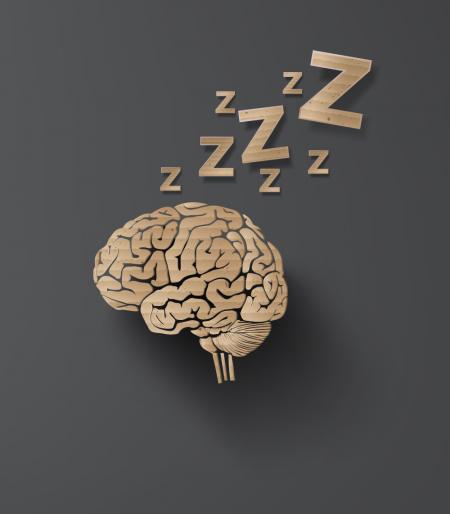 brain-sleep