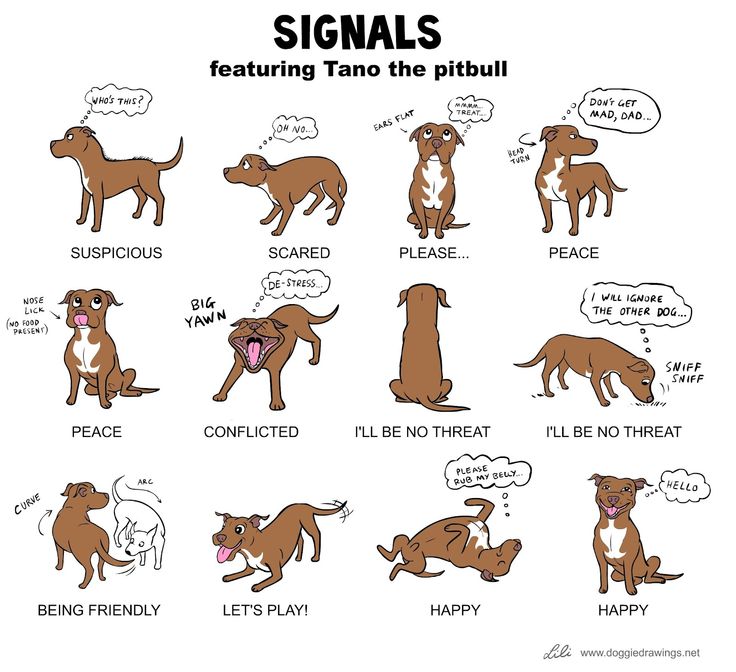 SIGNALS