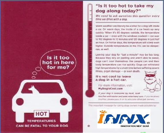 hot car warning