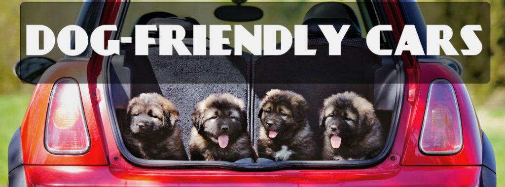 INNX dog-friendly-cars_